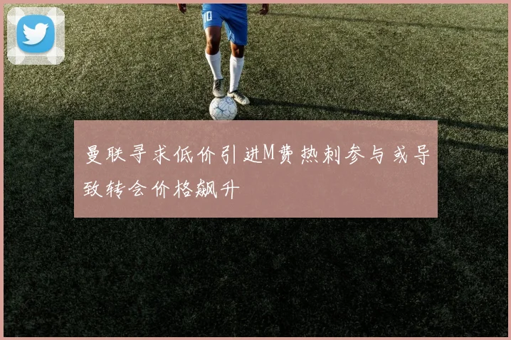 曼联寻求低价引进M费热刺参与或导致转会价格飙升